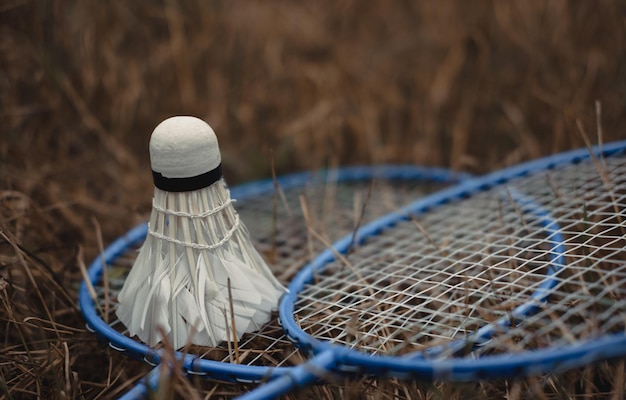 Das Spiel Badminton Hobbys und Erholung im Freien