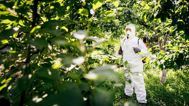 Das Thema industrielle Landwirtschaft Eine Person sprüht giftige Pestizide oder Insektizide auf einer Plantage Unkrautbekämpfung