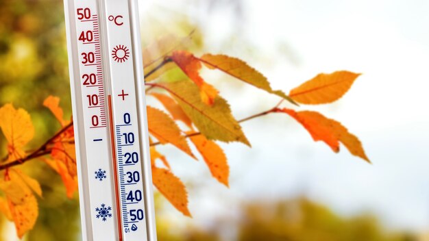 Foto das thermometer in der nähe des zweiges mit herbstlaub