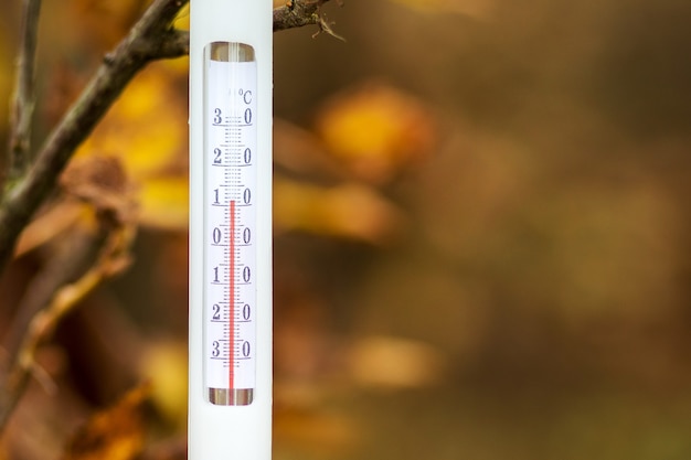 Das Thermometer über dem Herbstlaub zeigt eine Temperatur von plus 11 Grad