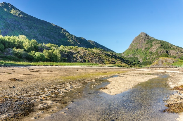 Das transparente Wasser der Bucht, der Steine und des grünen Grases im Sommer, Insel Arsteinen, Lofoten-Archipel, Norwegen