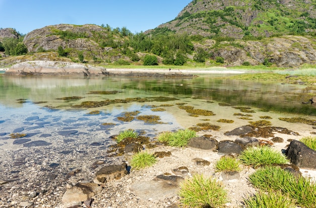 Das türkisfarbene Wasser der Bucht, die Steine und das grüne Gras im Sommer, Insel Arsteinen, Lofoten-Archipel, Norwegen