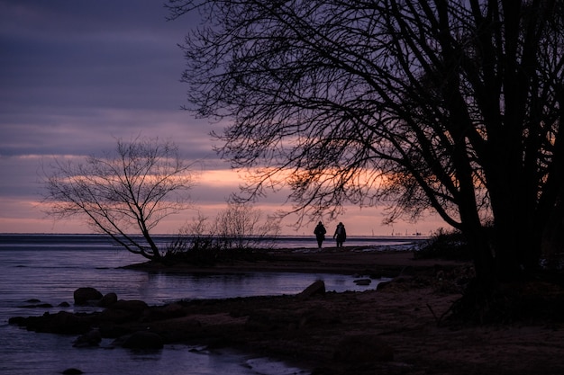 Das Ufer des Finnischen Meerbusens im Winter bei Sonnenuntergang in Lakhta Sankt Petersburg