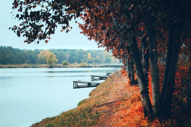 Das Ufer des Sees im Herbst