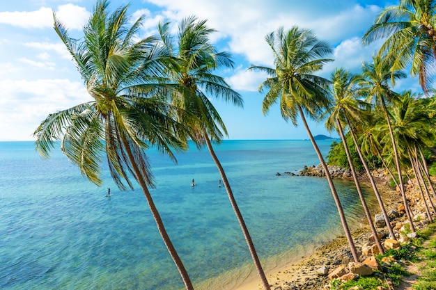 Das Ufer einer tropischen Insel. Strand am Meer. Palmen überragen ein Wasser