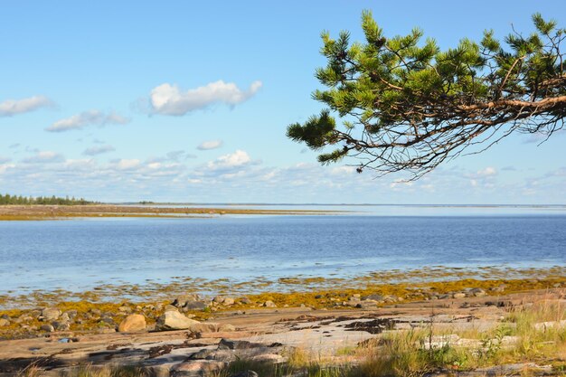 Das Weiße Meer am Ende des Sommers