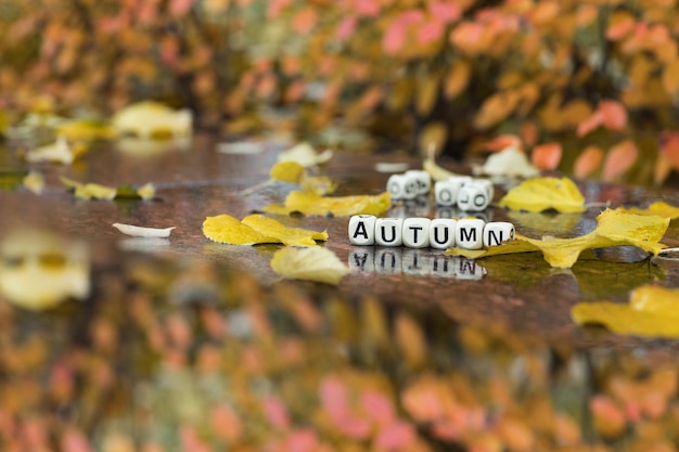 Foto das wort autumn besteht aus holzbuchstaben. nahaufnahme