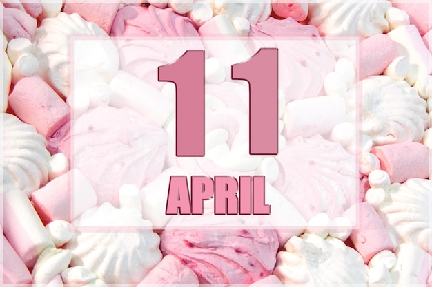 Data do calendário no fundo de marshmallows brancos e rosa 11 de abril é o décimo primeiro dia do mês