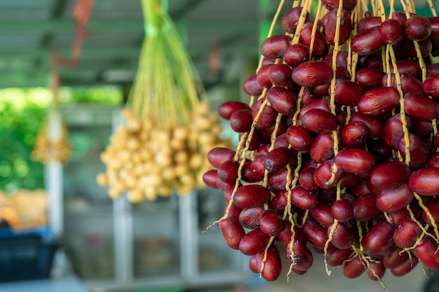 Dattelpalmenfrucht in den Bäumen