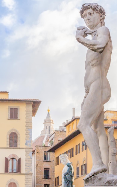 David de Michelangelo em Florença, Itália Exemplo de perfeição corporal em mármore