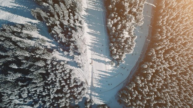 Foto de cima para baixo sol neve montanha aérea paisagem natural de inverno atração turística floresta de abeto na colina