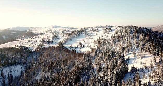 De grande altura paisagem de montanha de conto de fadas coberto de neve picos alpinos afiados Inverno selvagem nas montanhas dos Cárpatos Ucrânia Nuvens brancas grossas Espaço aberto Aérea 4K