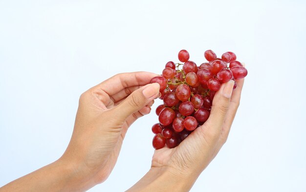 Dé sostener la uva roja del manojo y la cosecha en el fondo blanco.