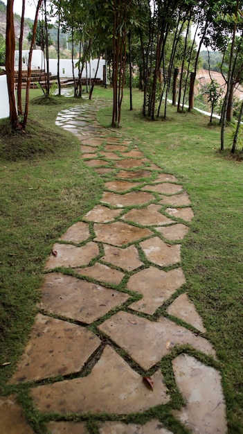 Dê um passeio tranquilo por este caminho de jardim verde cercado de verde no meio do jardim, sua cena idílica captura a beleza e a tranquilidade da natureza, perfeita para uma variedade de projetos