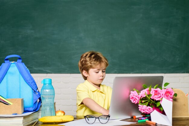 De volta às aulas, menino atencioso, trabalhando com laptop, lições de dever de casa, disciplinas escolares, educação científica