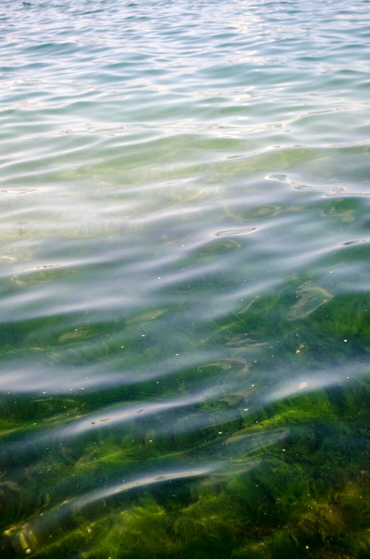 Foto dea-wasser-textur