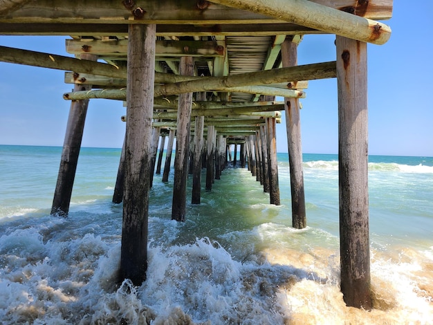 Debajo del muelle