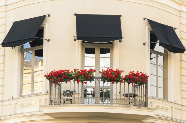 Decarotion de ventana con macizos de flores en Odessa