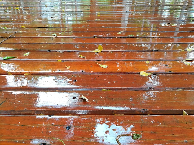 Deck de madeira depois da chuva Deck de madeira molhado australiano de perto