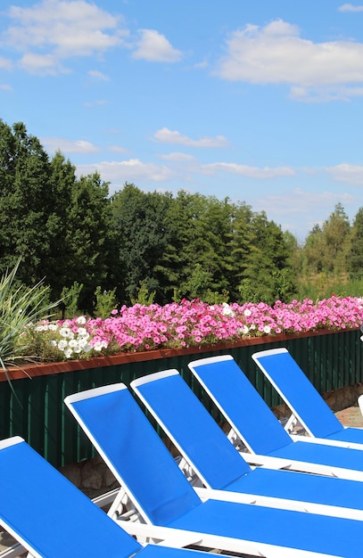 Deckchairs no fundo de flores