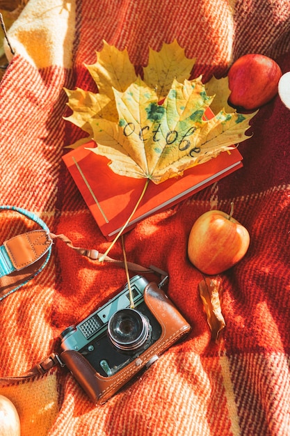 Foto decke mit buch und alter retro-kamera auf dem boden im öffentlichen herbstpark. platz kopieren