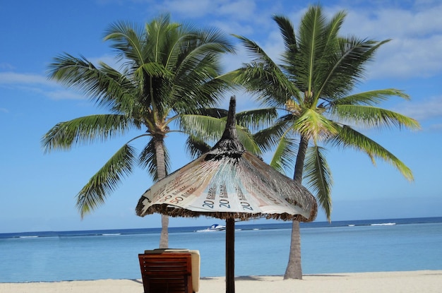 Deckstuhl mit Sonnenschirm und Palmen am Strand gegen den Himmel