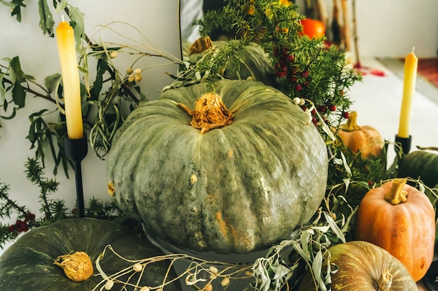 Decoração bonita mesa de outono com abóbora verde