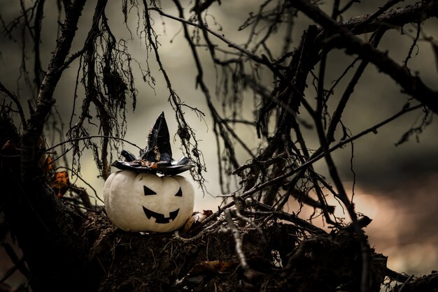 Foto decoração de abóbora de halloween