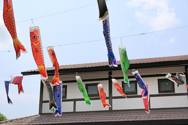 Decoração de bandeira de carpa koi japonesa soprar no vento.