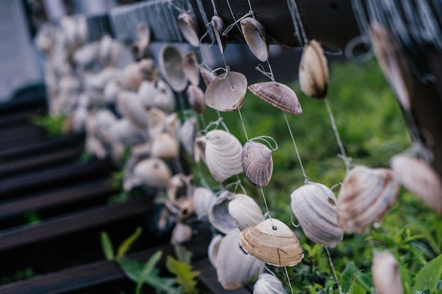 Decoração de conchas à beira-mar