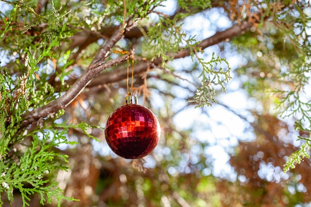 decoração de esfera de natal na árvore