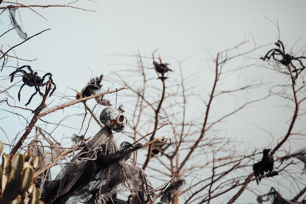 Decoração de fantasmas de Halloween pendurada com aranhas em galhos de árvores secas contra o céu azul