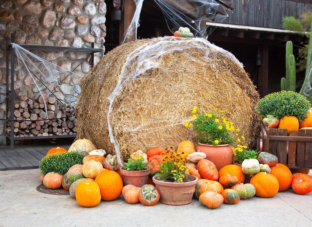 Decoração de Halloween