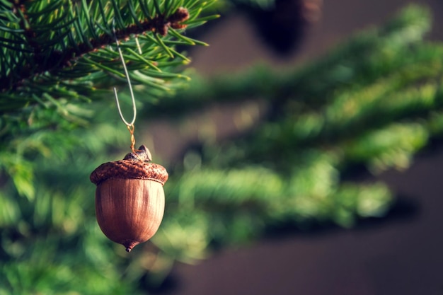 Decoração de Natal natural feita de bolota marrom pendurada na árvore de abeto conífero verde