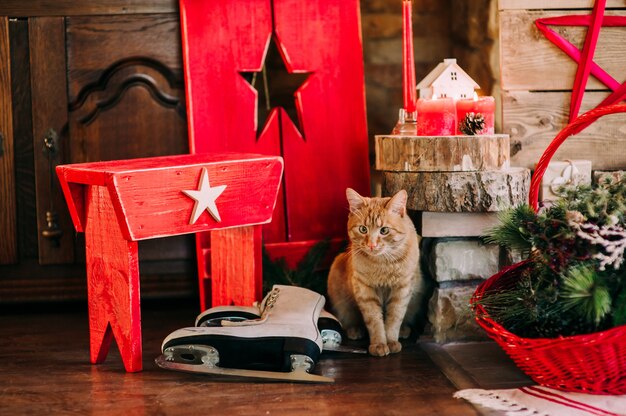 Decoração de Natal