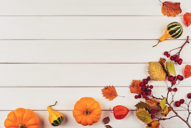 Decoração de outono de abóboras, frutas e folhas em um fundo branco de madeira. Conceito de dia de ação de Graças ou Halloween. Composição de outono plana leiga com espaço de cópia.