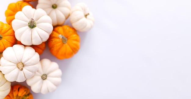 Decoração de outono em branco com espaço de cópia. Outono, halloween, banner de ação de graças