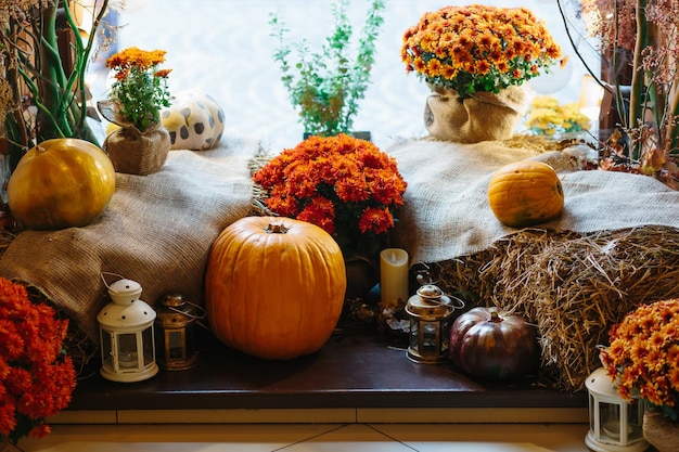 Decoração de outono na vitrine, folhas amarelas e abóbora