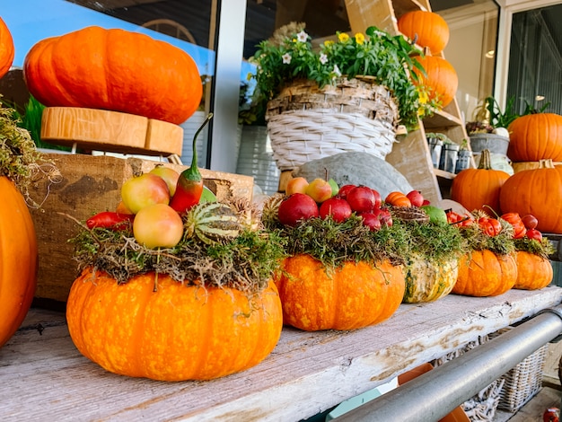 Decoração de outono para o dia das bruxas do dia de ação de Graças com abóboras laranja e flores