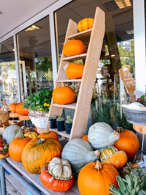 Decoração de outono para o dia das bruxas do dia de ação de Graças com abóboras laranja e flores