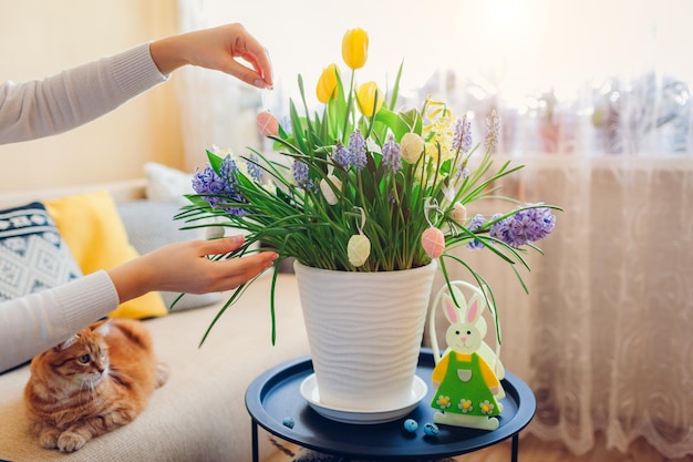 Decoração de páscoa. mulher pendura ovos na primavera flores desabrochando em pote. design de férias de interiores na mesa de coelho.