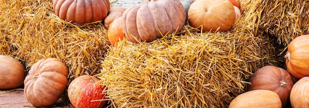 Decoração de rua para o Halloween e Ação de Graças