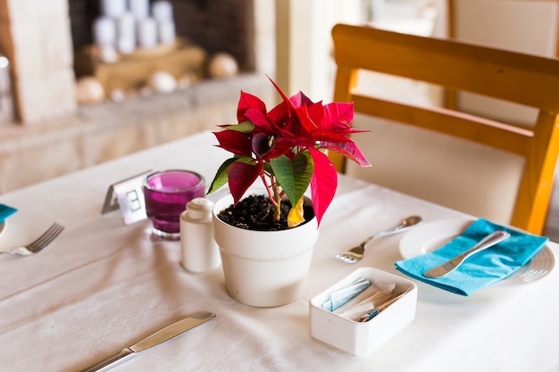 Decoração de vasos de flores na mesa, dentro de casa