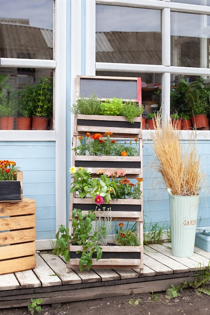 Decoração de verão varanda casa varanda com plantas verdes, ervas e flores na caixa