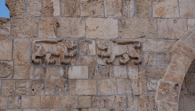 Decoração do portão do leão da cidade velha de Israel Jerusalém na parede de pedra perto da entrada Foto de alta qualidade