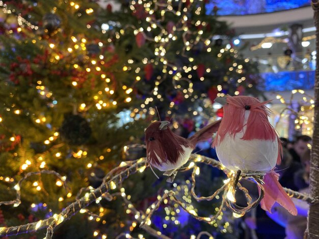 Foto decoração festiva da árvore de natal pássaro de brinquedo de veludo rosa e fundo com poinsettia artificial