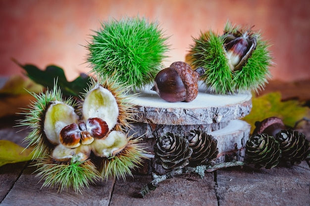 Decoração festiva de outono com castanhas, frutos do carvalho e folhas