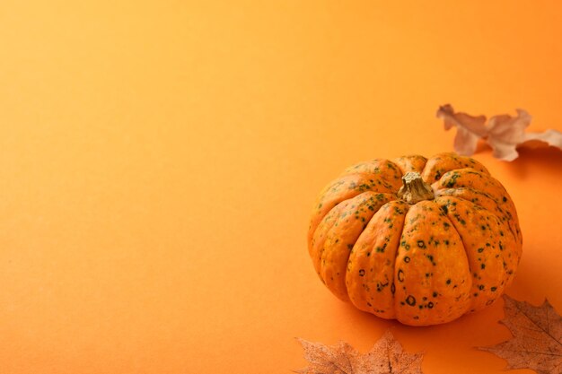 Decoração festiva de outono de abóboras e folhas de carvalho secas em fundo laranja Halloween ou design de cartão postal de Ação de Graças Composição plana de outono com espaço de cópia Banner Vista superior