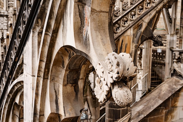 Decoração floral nos telhados arqueados do duomo italia milão