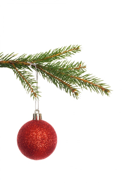 Decoração vermelha do Natal pendurada no ramo